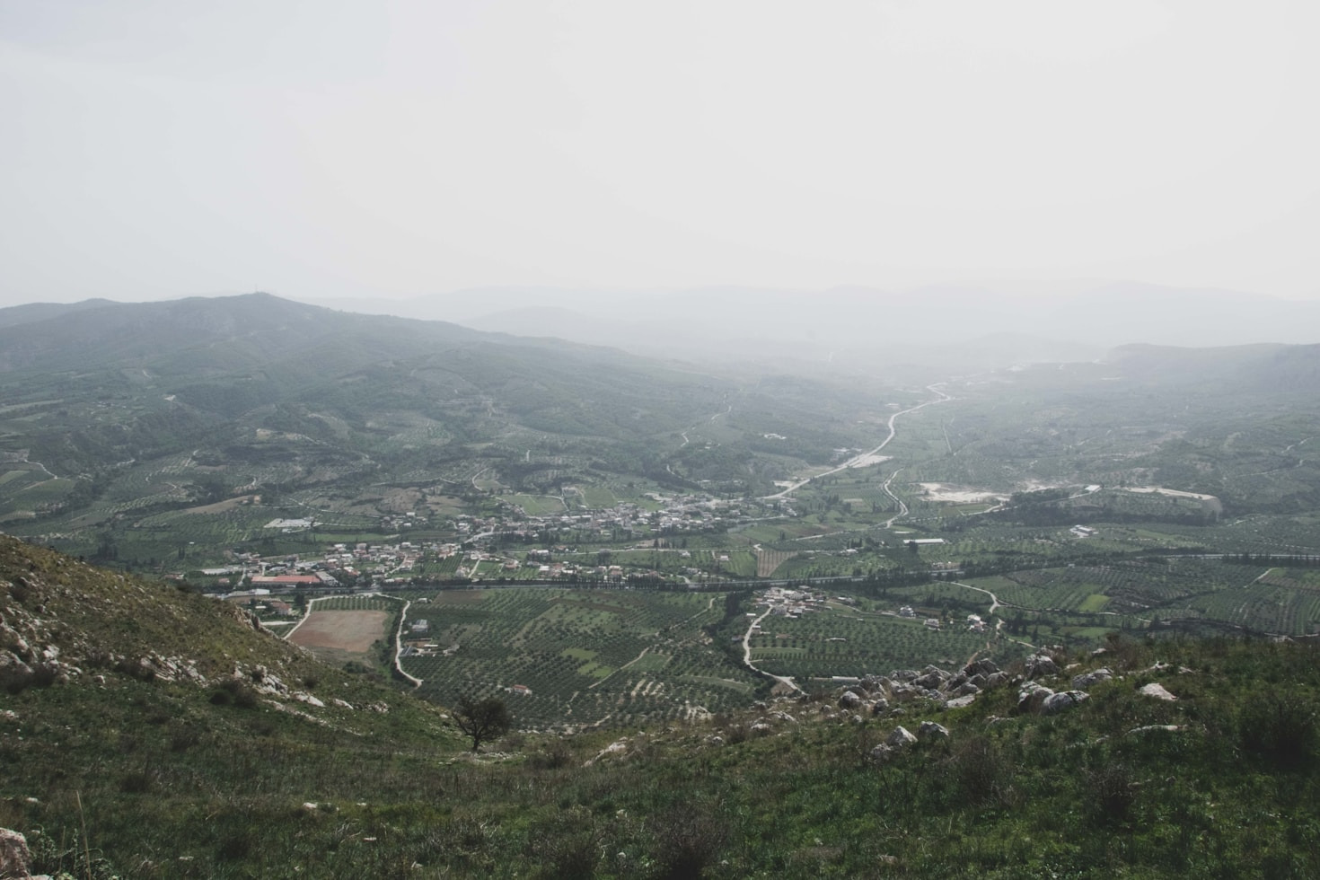 How Dolj’s Local Initiatives Are Shaping the Community